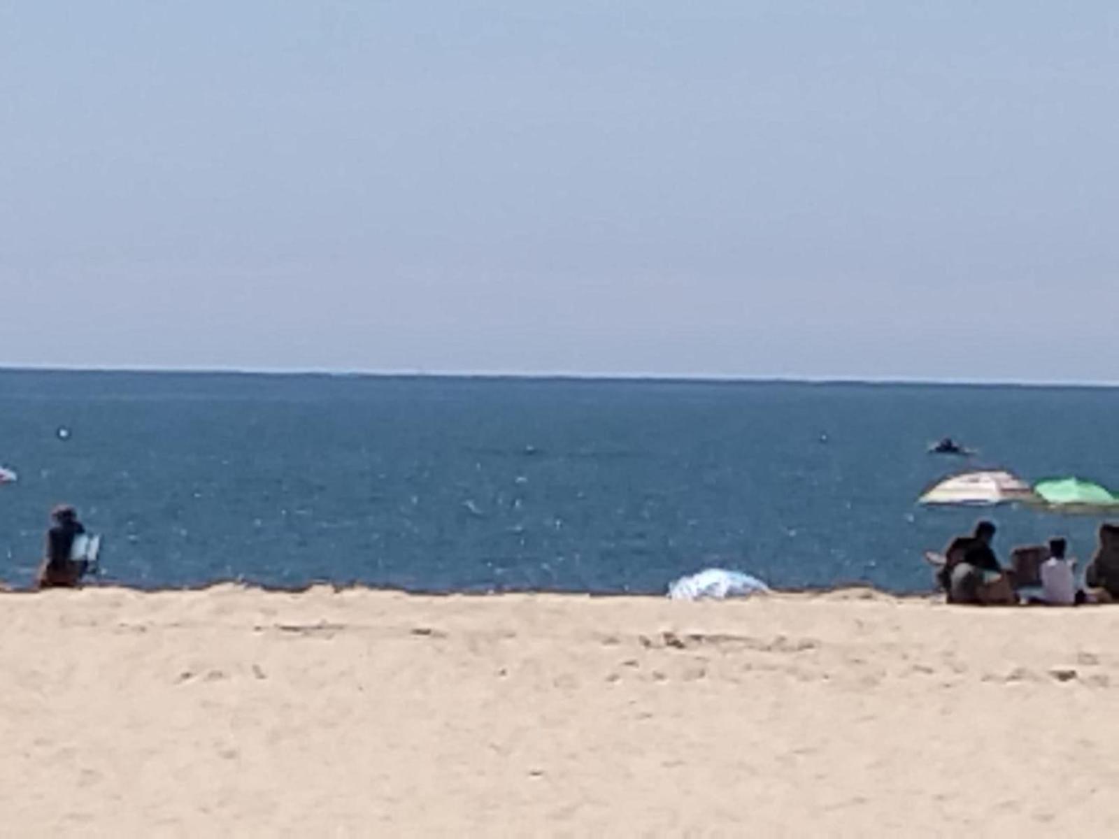 Bungalow Martins Nazare Land'S Hause Pataias Zewnętrze zdjęcie